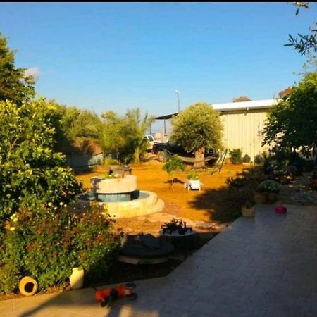 בחצר של טובה Apartment Hazon Luaran gambar